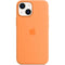 iPhone 13 mini