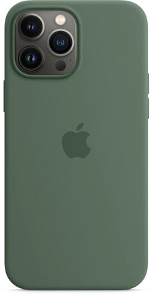 Coque en silicone Apple iPhone 13 Pro Max avec MagSafe – Eucalyptus (vert)
